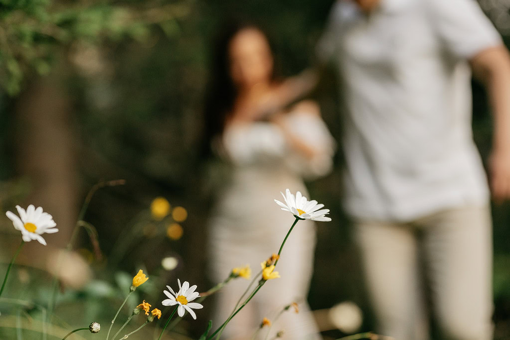 Close-up daisies with blurred couple in background.