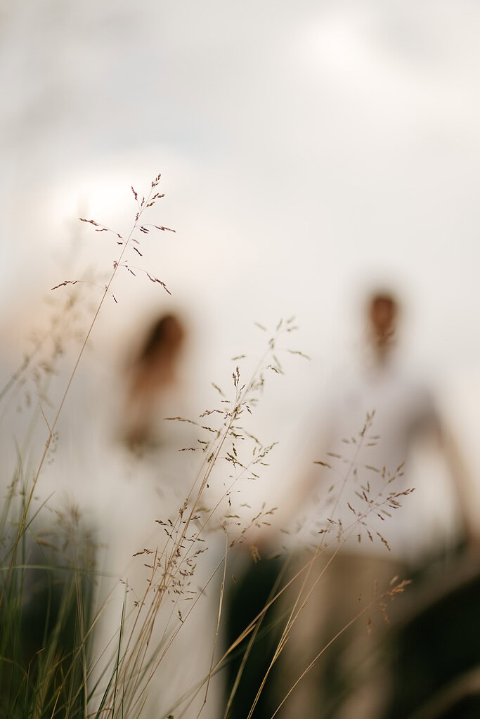 Blurry couple behind close-up of tall grass.