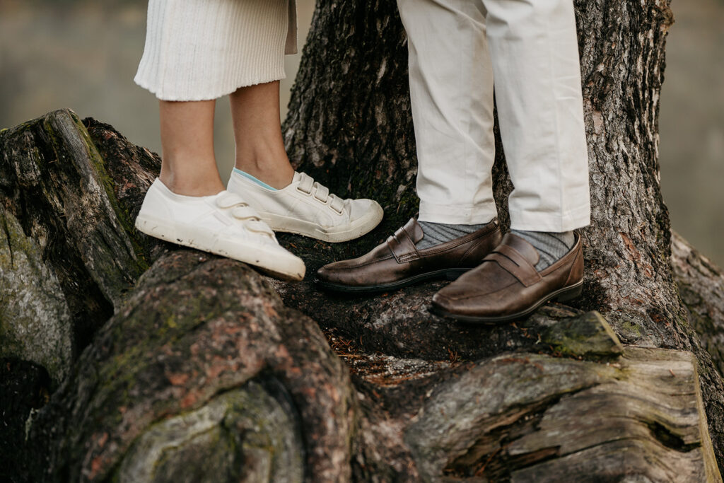 Shoes on tree roots, casual and formal styles.