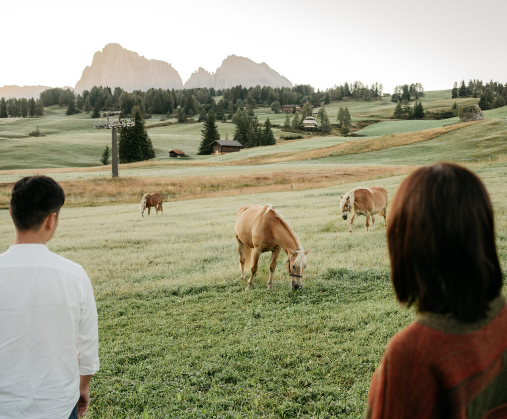 People watching horses in a grassy field.