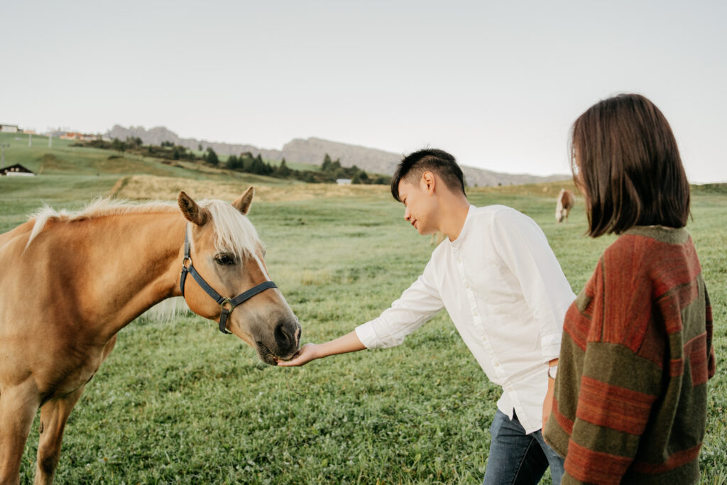 People feeding a horse in a green field.