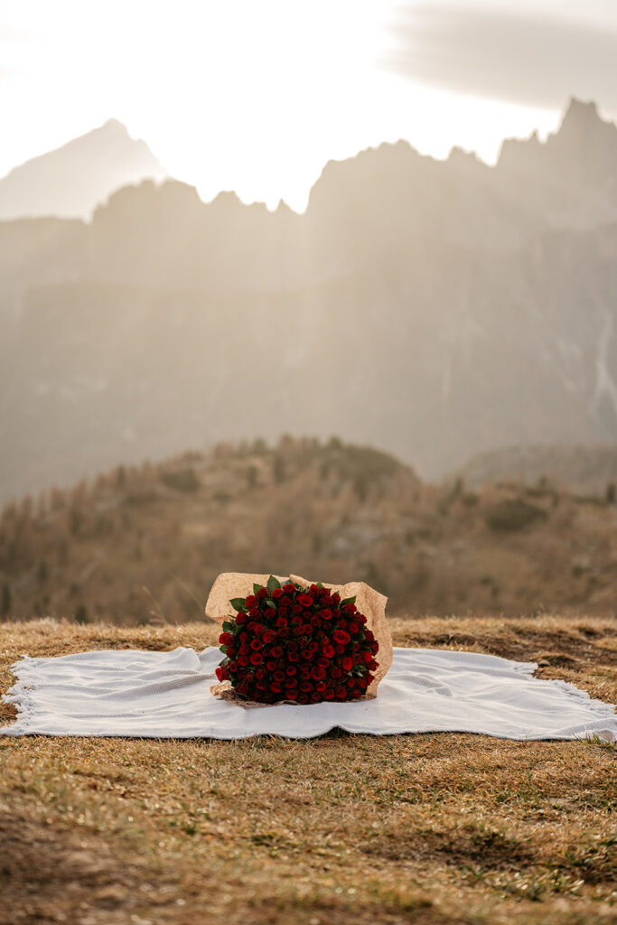 Bouquet of red roses on mountain picnic blanket