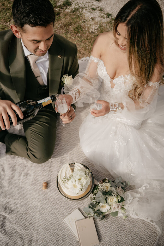 Bride and groom picnic with champagne and cake.