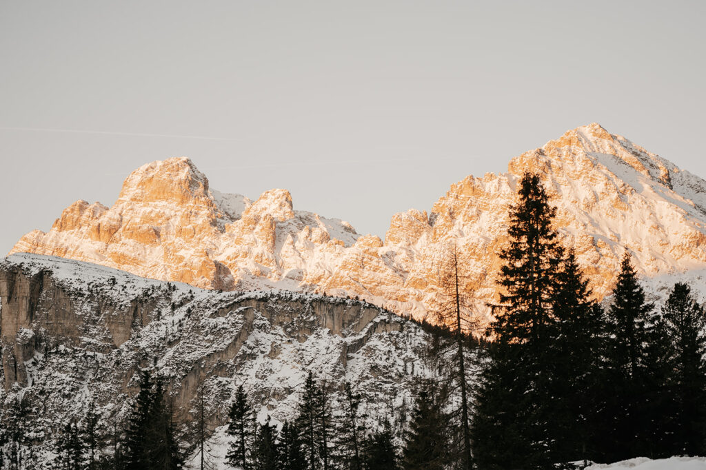 Snowy mountain peaks at sunset with pine trees