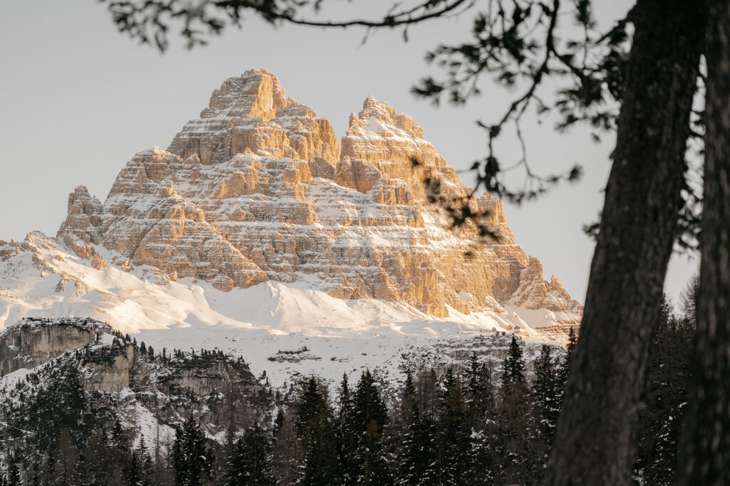 Snow-covered mountain with pine trees in foreground.