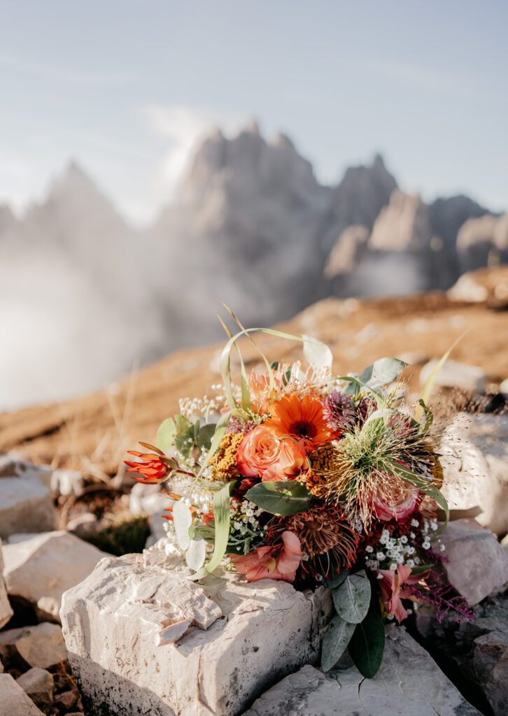 Colorful bouquet on rocky mountain landscape.