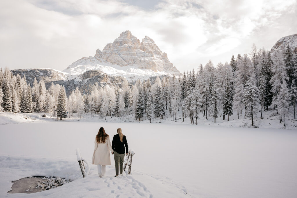 Two people walking in snowy winter landscape.