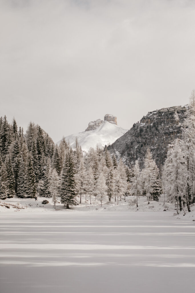 Snowy mountain landscape with evergreen trees.