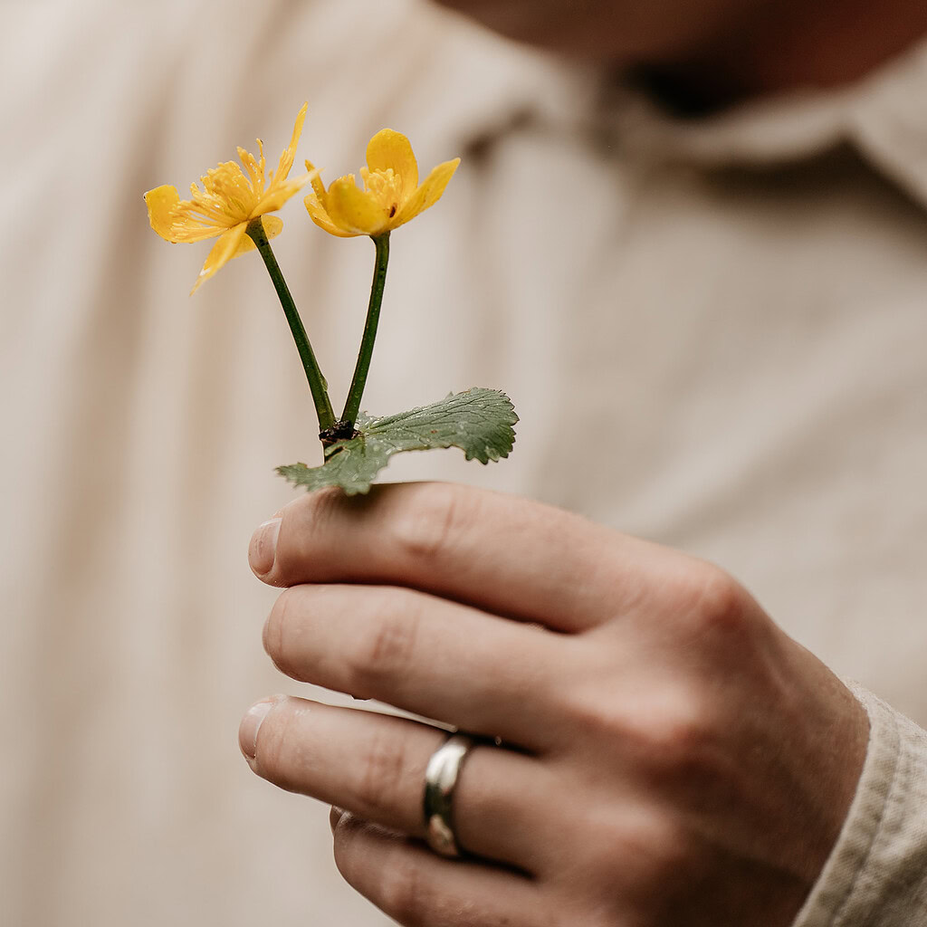 Hand holding small yellow flowers with leaves