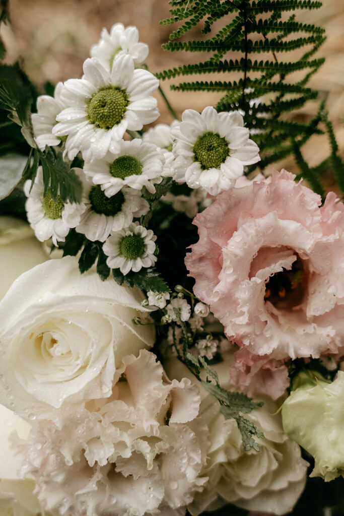 Close-up of assorted fresh flowers with dew drops