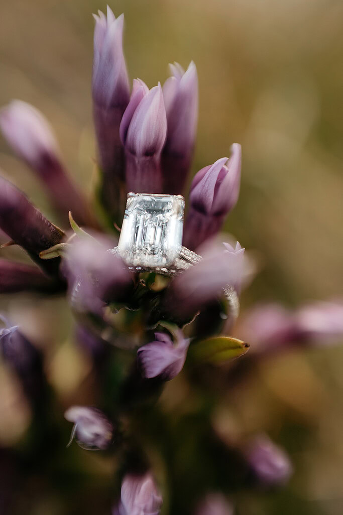 Diamond ring on purple flower buds