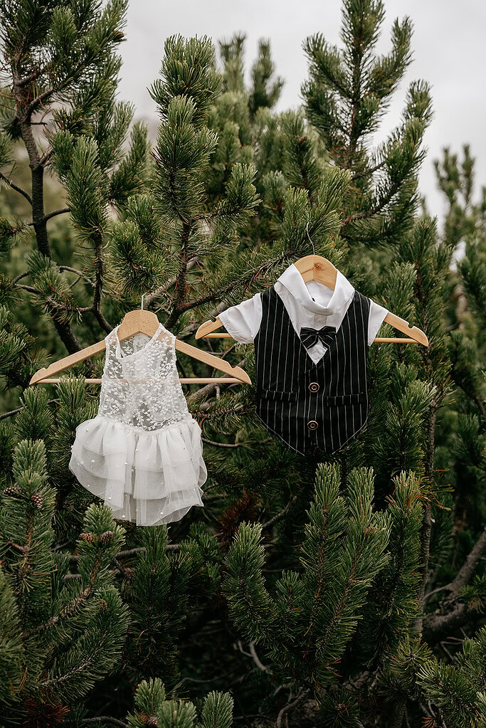 Baby outfits hanging on trees outdoors.